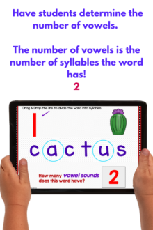 Syllable types and Multi-syllable Words can even be taught through digital lessons.
